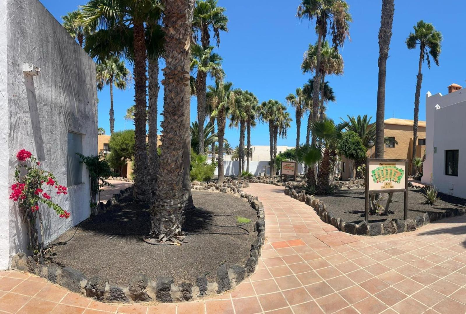 Apartamentos Gala Corralejo Exterior foto